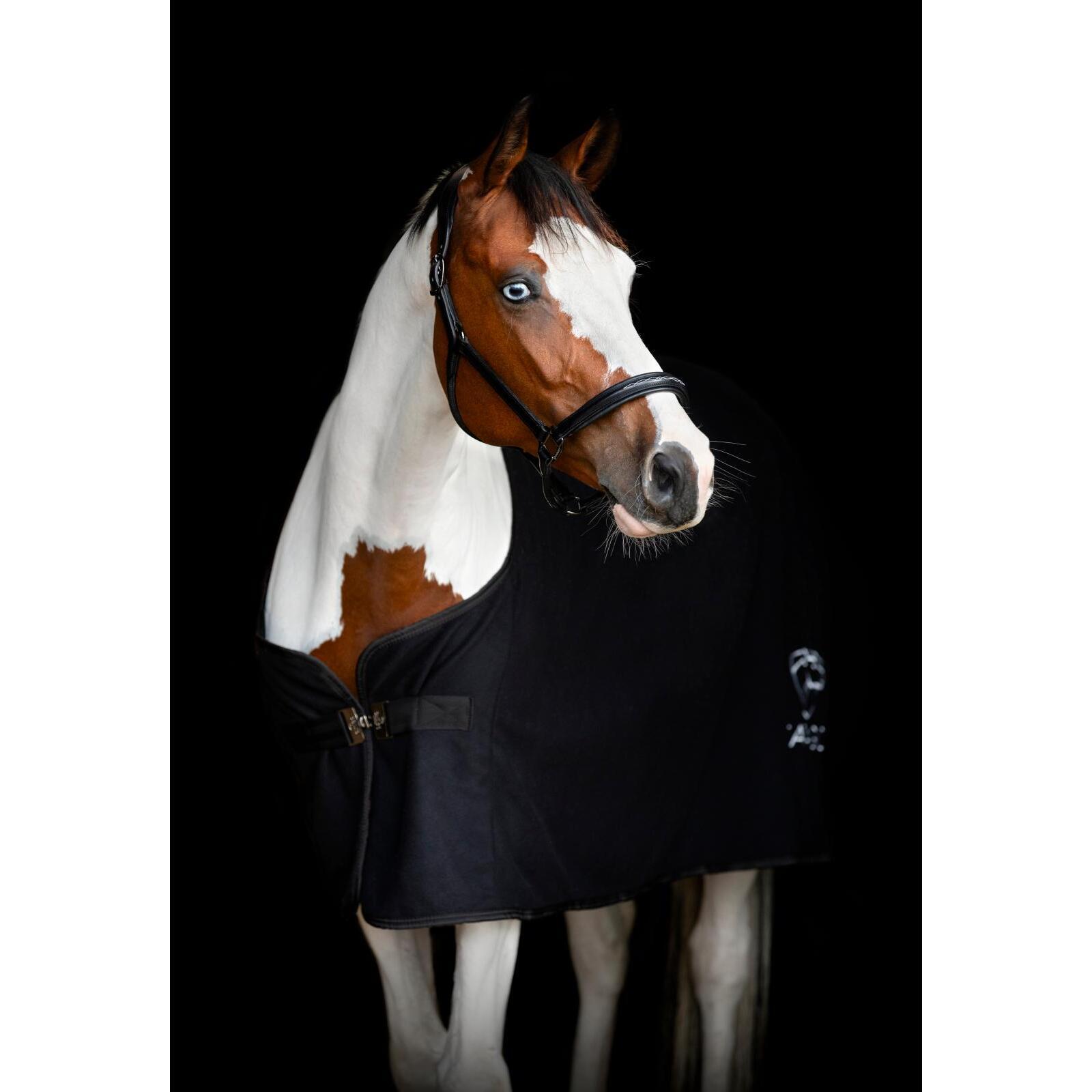 Cabestro de cuero para caballos Catago Novi 25.2 4/5