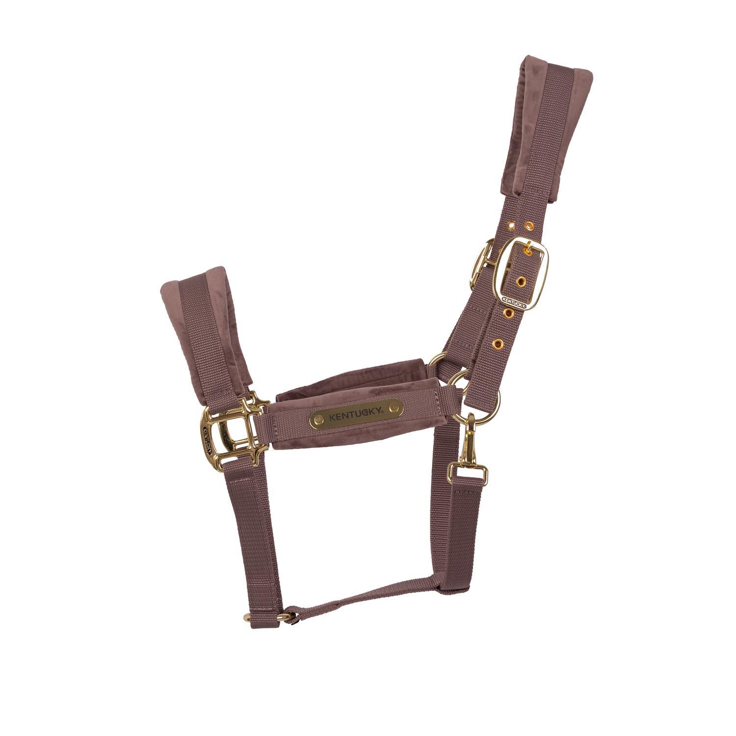 KENTUCKY HORSEWEAR picture