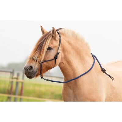 Cavezza in cuoio Edix Saddles Resi-lead