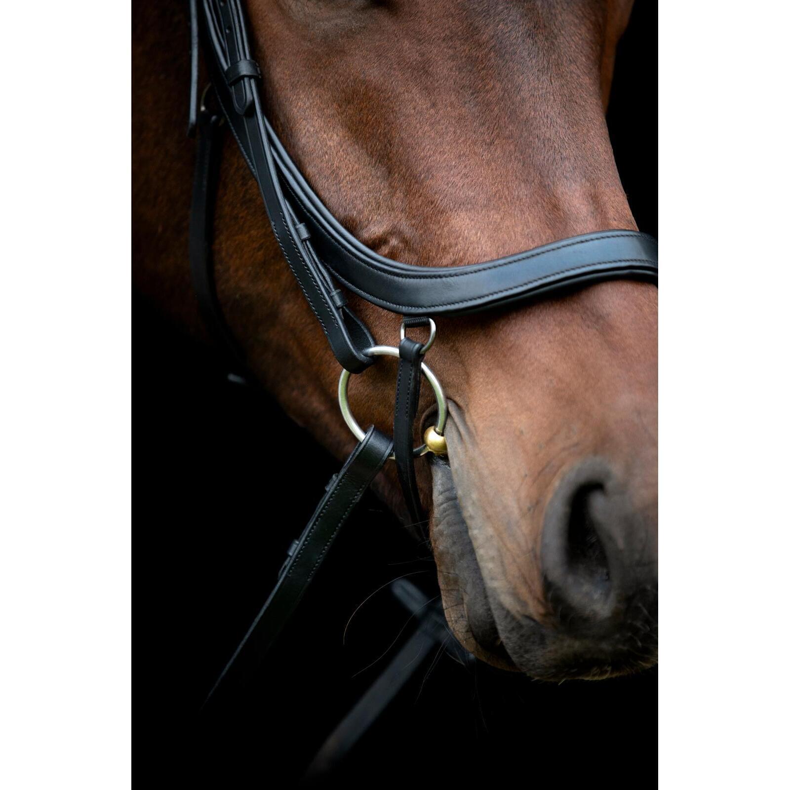 Bridón de equitación con muserola anatómica HorseGuard Vinja 3/5