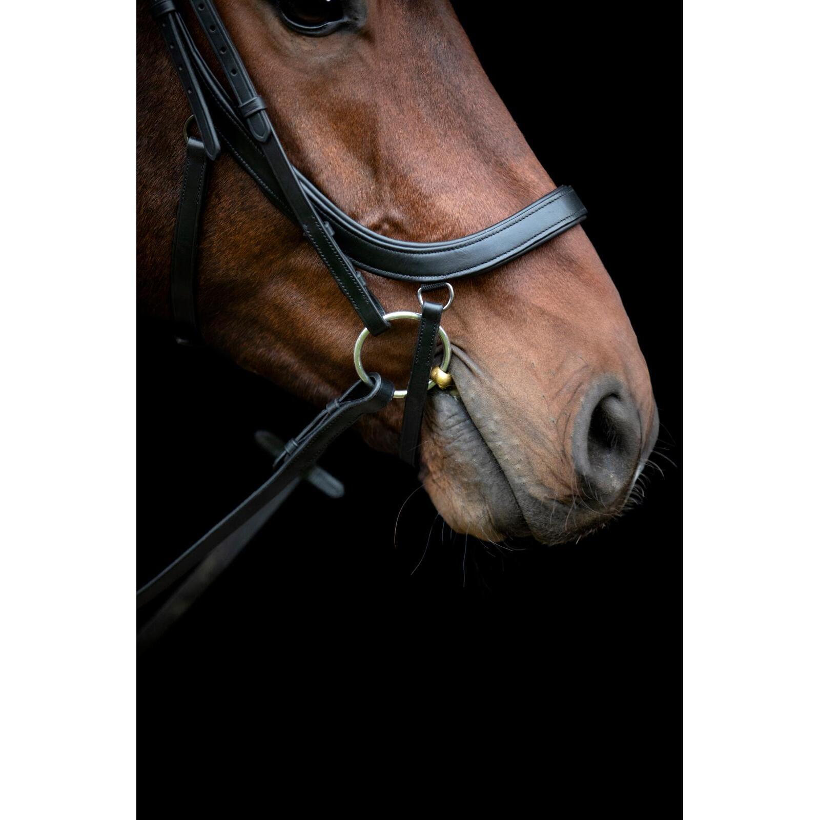 Bridón de equitación con muserola anatómica HorseGuard Vinja 4/5