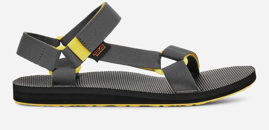 TEVA picture