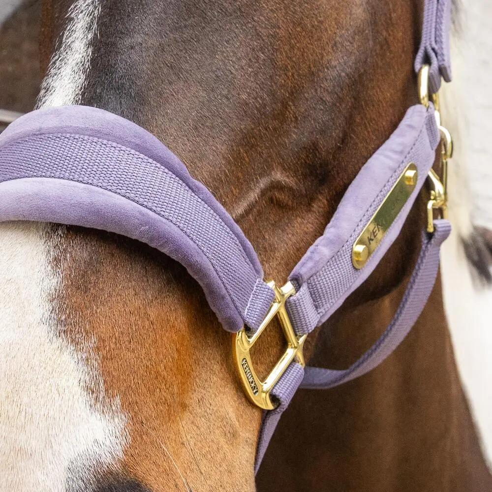 Nylonowy kantar dla konia Kentucky Horsewear 3/3