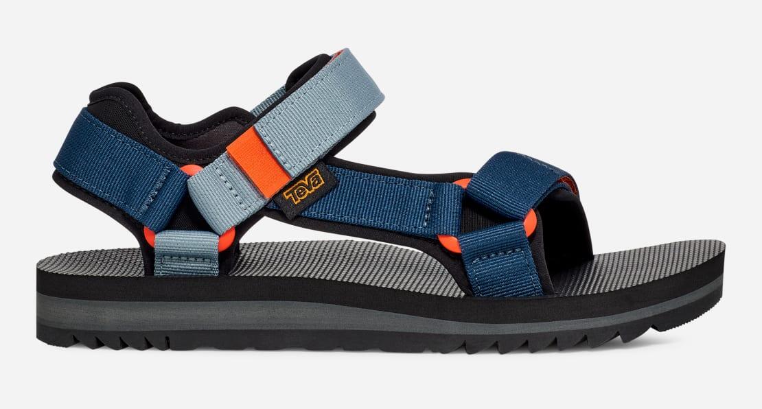 TEVA picture