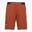 Short de randonnée Salewa Pedroc 4