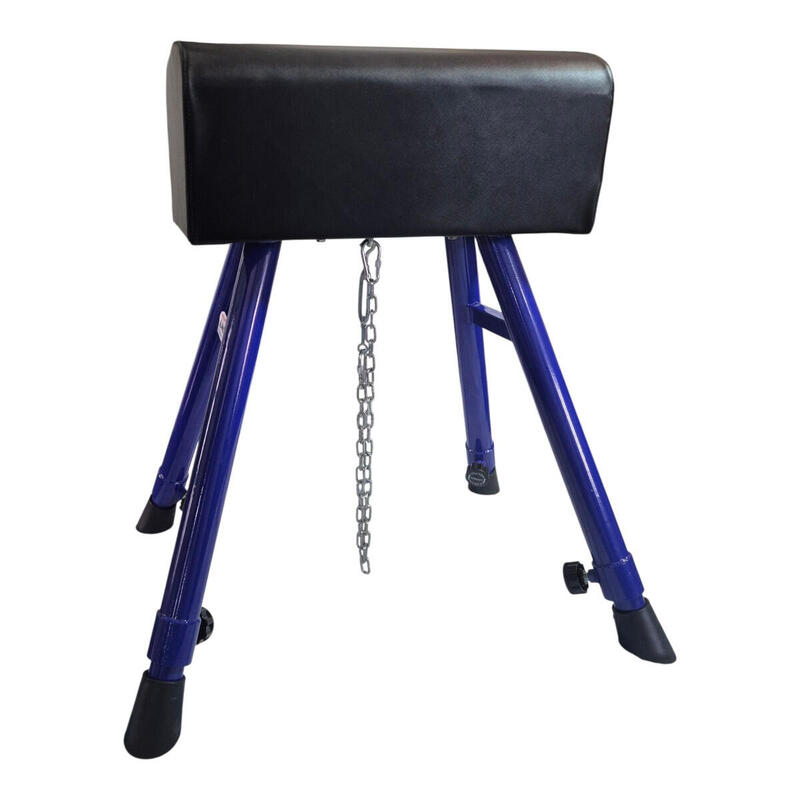 Capra gimnastica Anastasia Sport, 4 picioare reglabile