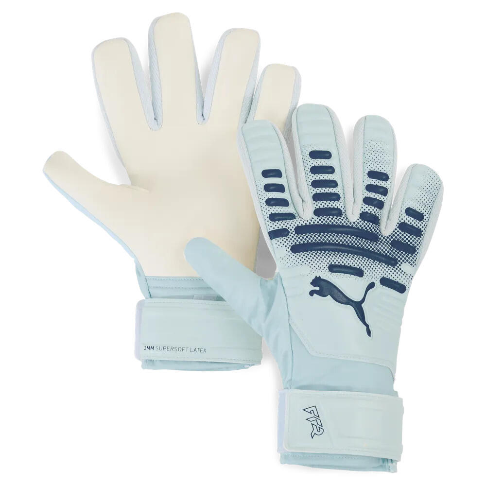 PUMA picture