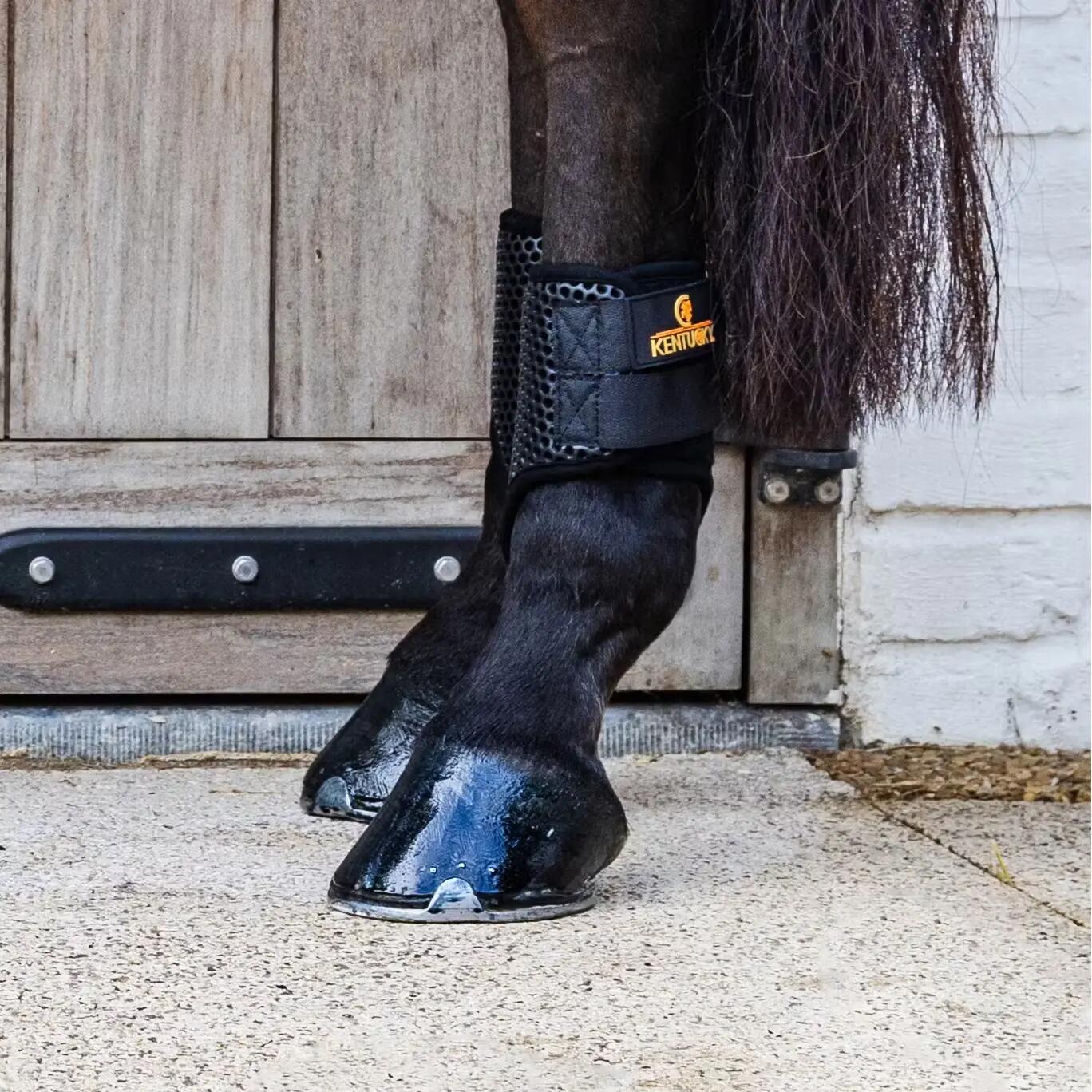 Paardenvoeten Kentucky Horsewear ProAir short 4/4
