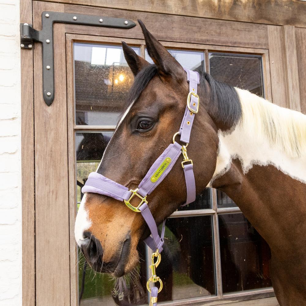 Nylonowy kantar dla konia Kentucky Horsewear 3/3