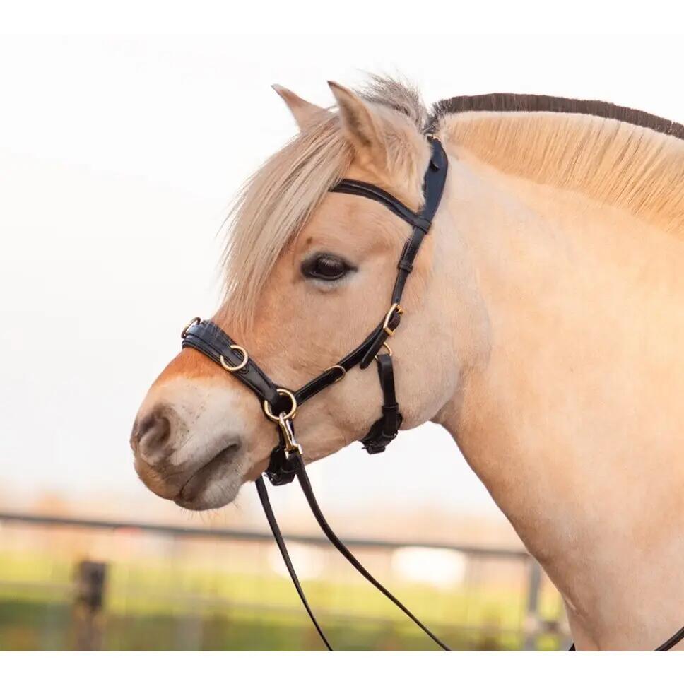 EDIX SADDLES picture