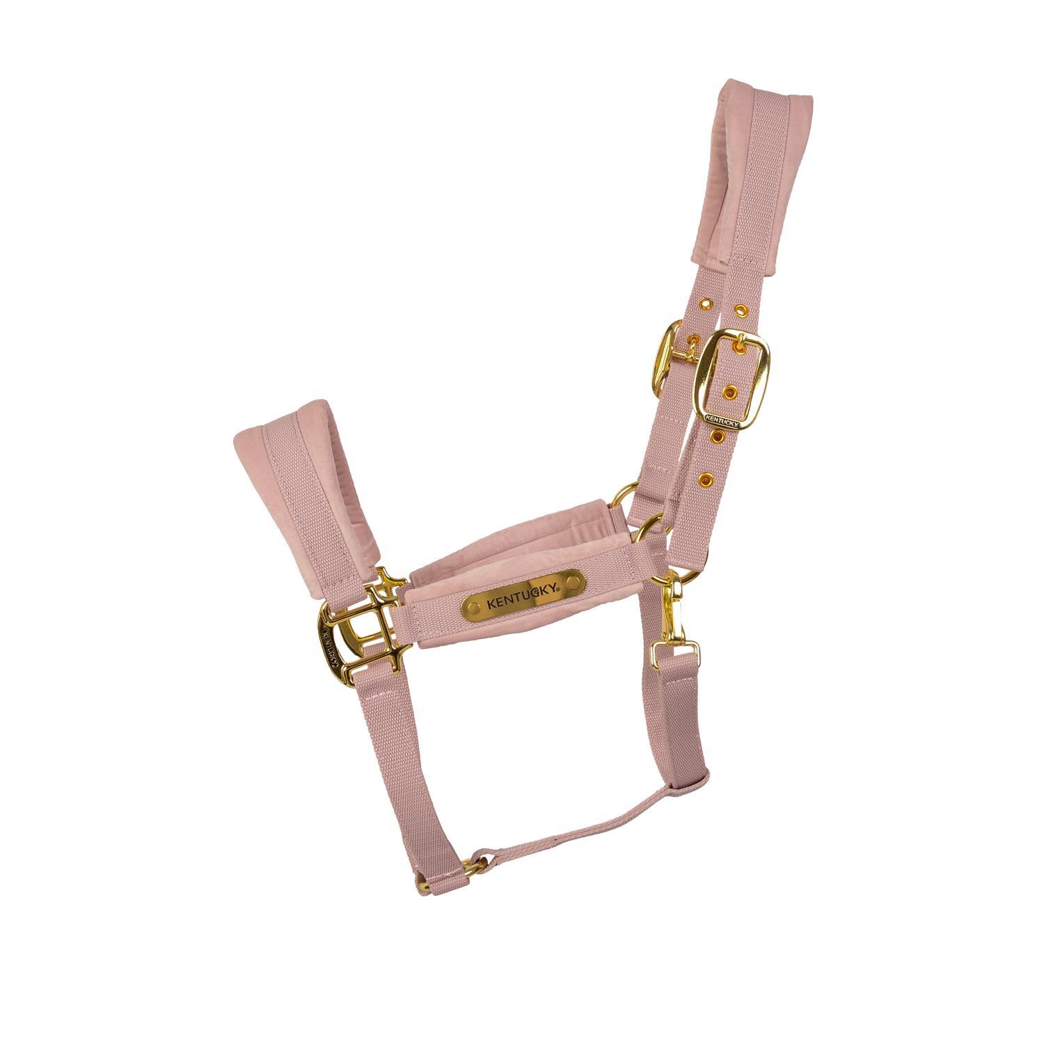 KENTUCKY HORSEWEAR picture