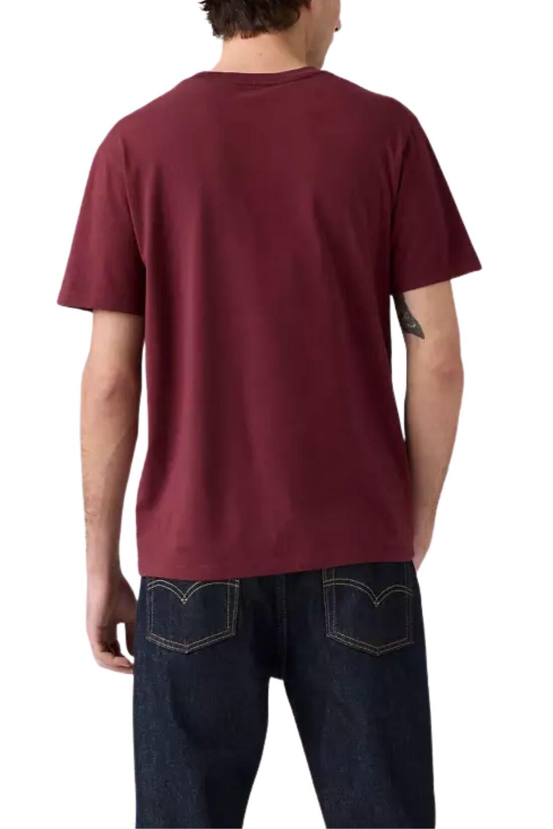 Camiseta - Sportswear - Hombre - Logo Batwing bordado o estampado - Levi's 2/4