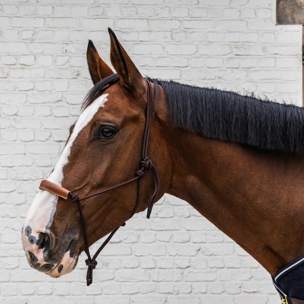 Cavezza in corda Kentucky Horsewear 5/5