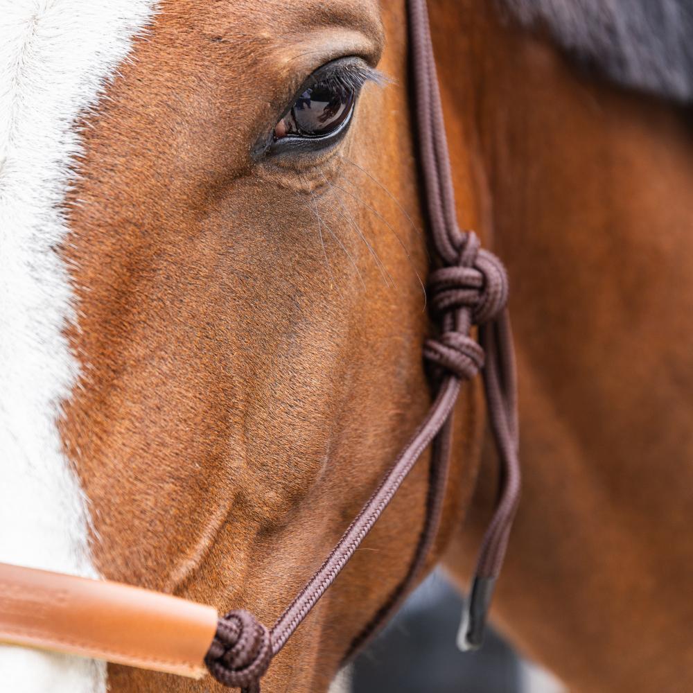 Cavezza in corda Kentucky Horsewear 3/5