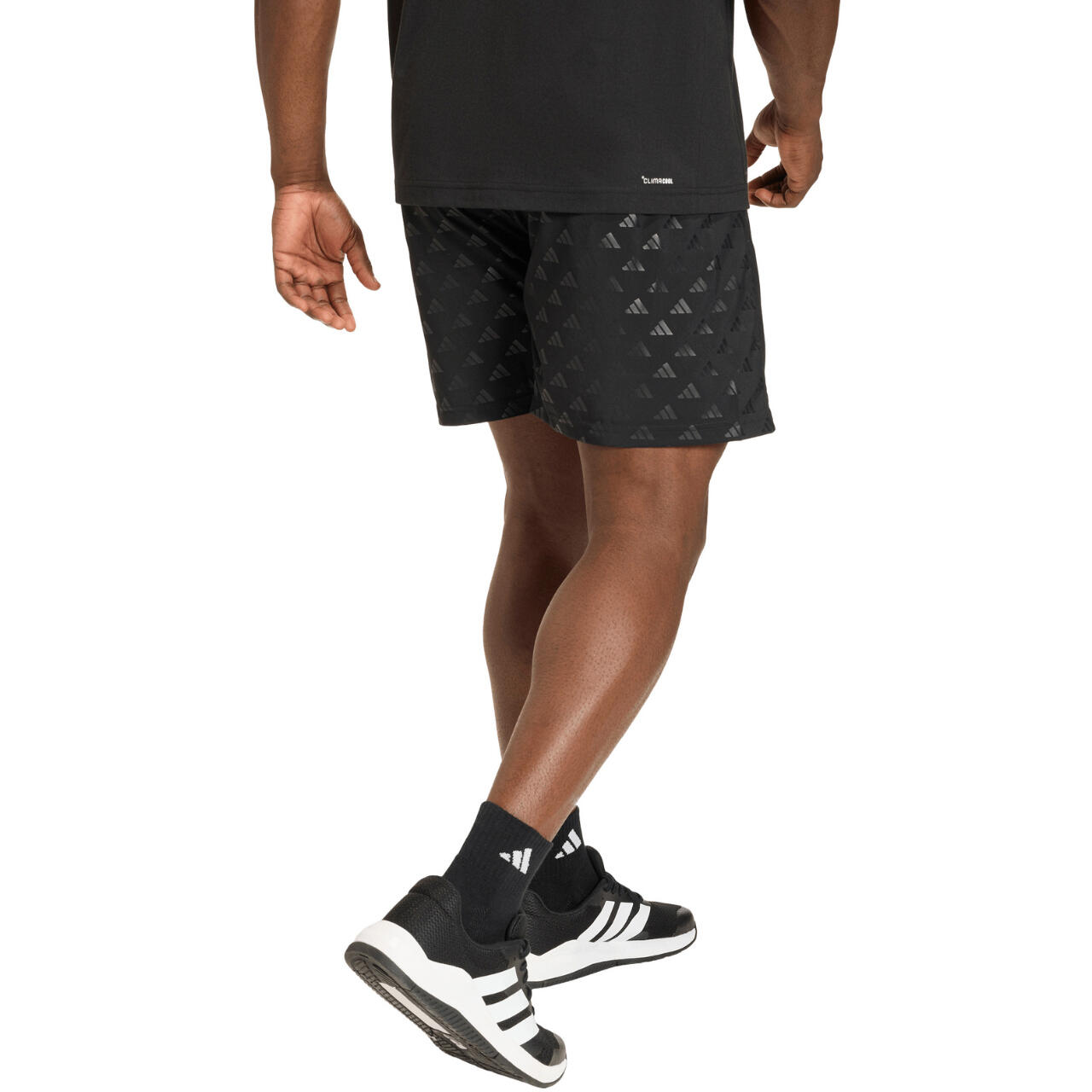 ADIDAS Workout Essentials Brandlove - Pantalones cortos hombre 3/6