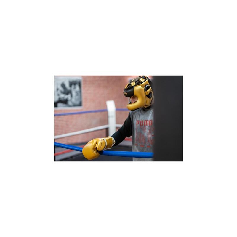 Mănuși de box TIGER GOLD / BLACK V 14oz