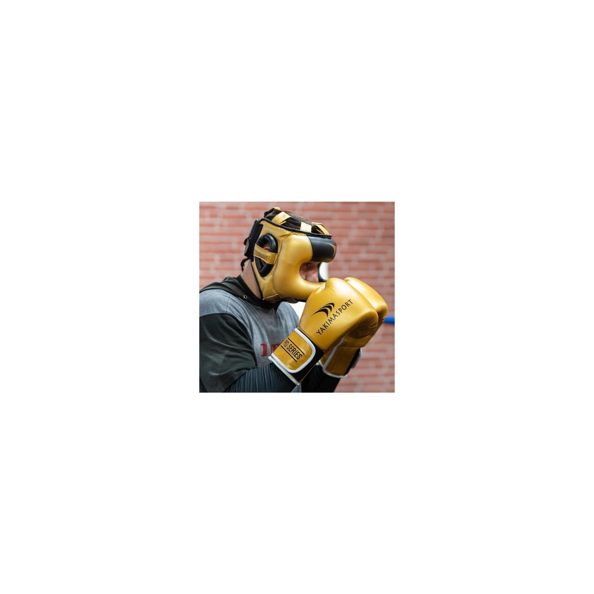 Mănuși de box TIGER GOLD / BLACK V 14oz