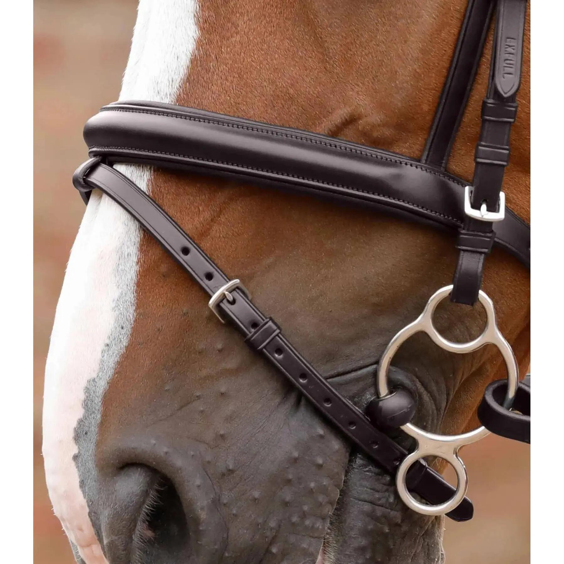 Bridon équitation Premier Equine Delizioso 3/4