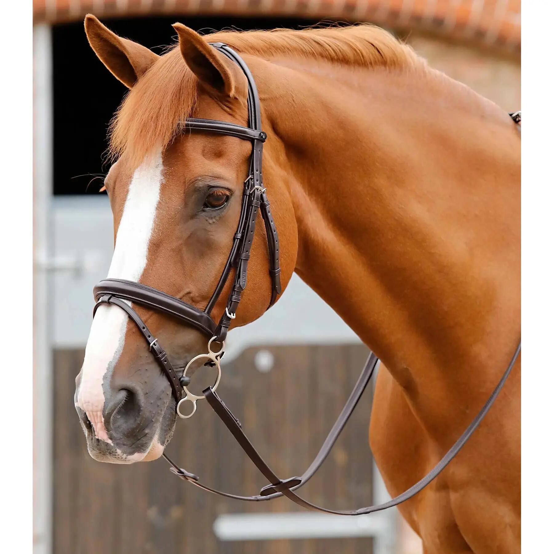 Bridon équitation Premier Equine Delizioso 2/4