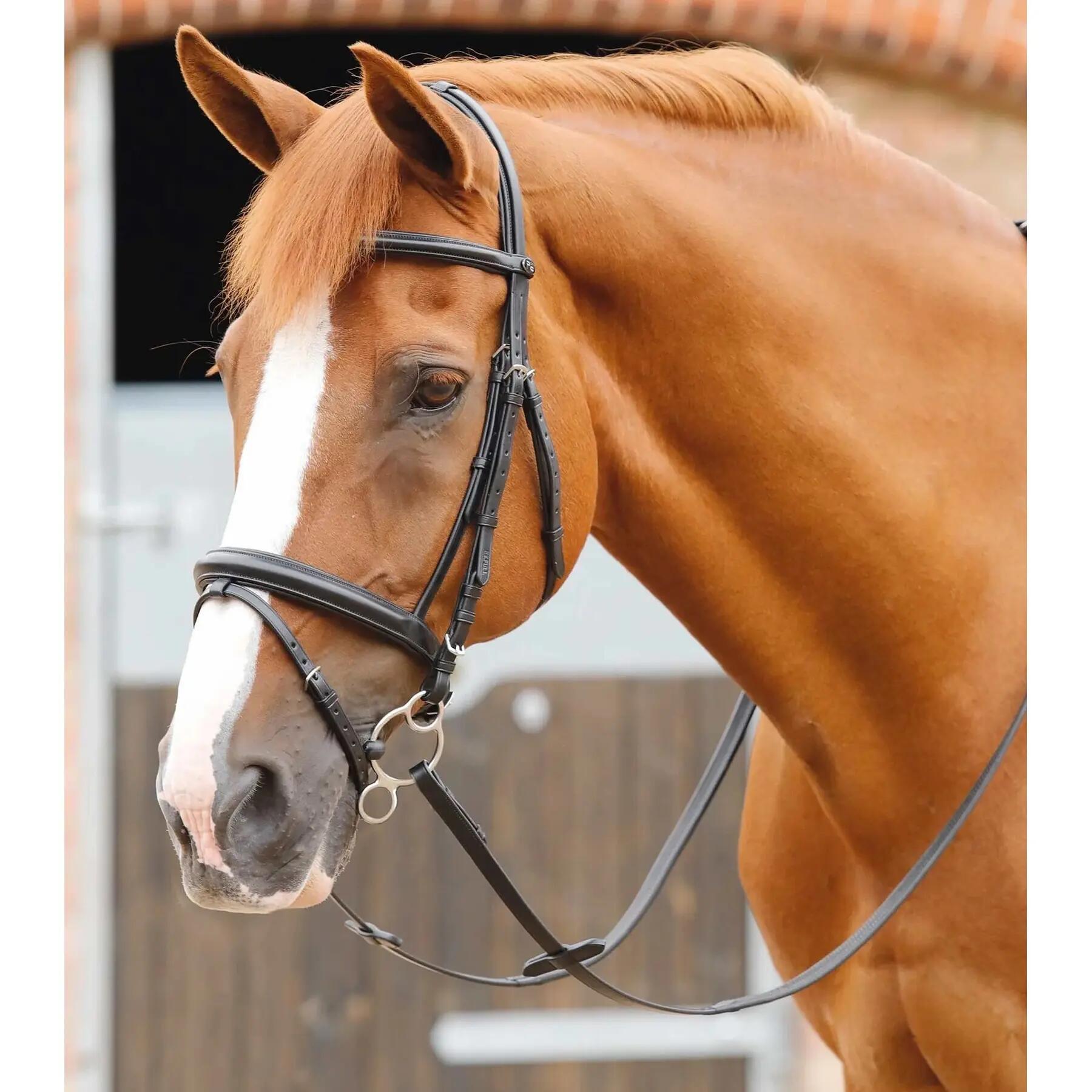 Bridon équitation Premier Equine Delizioso 2/4
