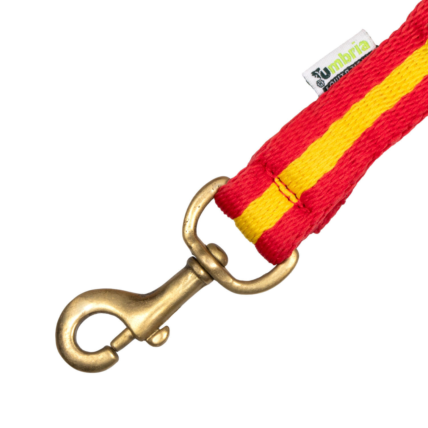 Lunghina cavallo Umbria Equitazione Longia 2/4