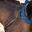 Dy'on Long Bridge Breastplate Zwart -