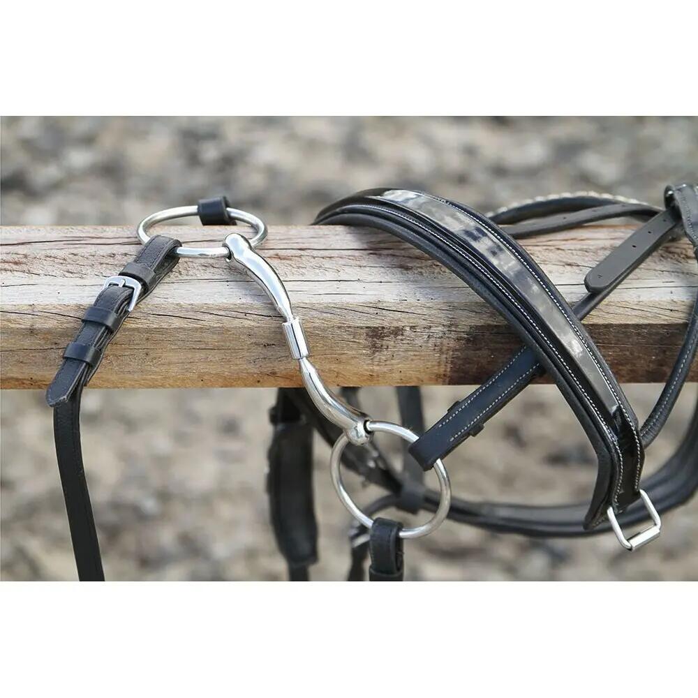 Anatomisch geformtes, doppelt gebrochenes 2-Ring-Pferdegebiss Harry's Horse Roll 3/4