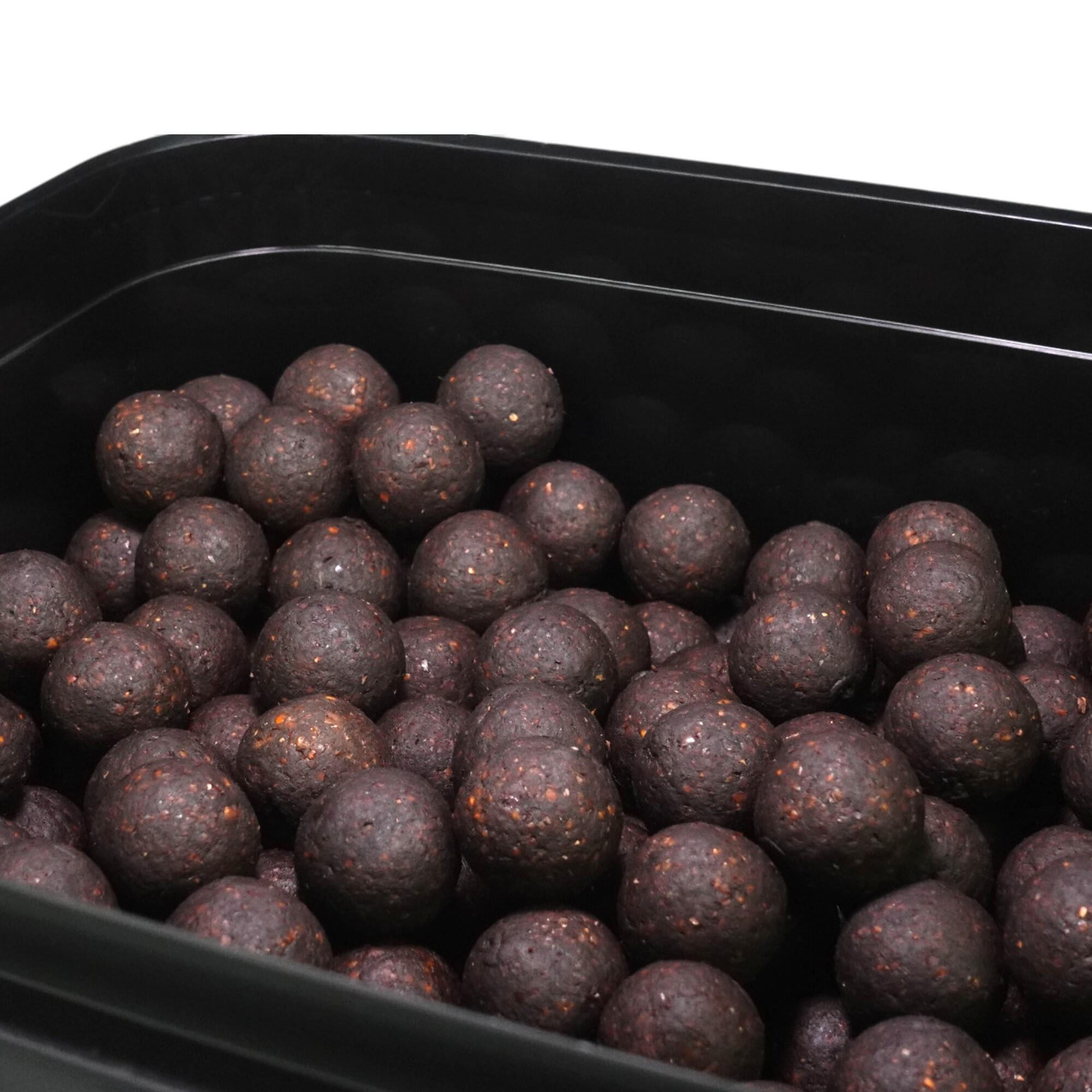 Kulki zanętowe 20mm Warmuz Baits Wiadro 3kg CZARNA MAMBA 3kg 20mm WIADRO 3/3