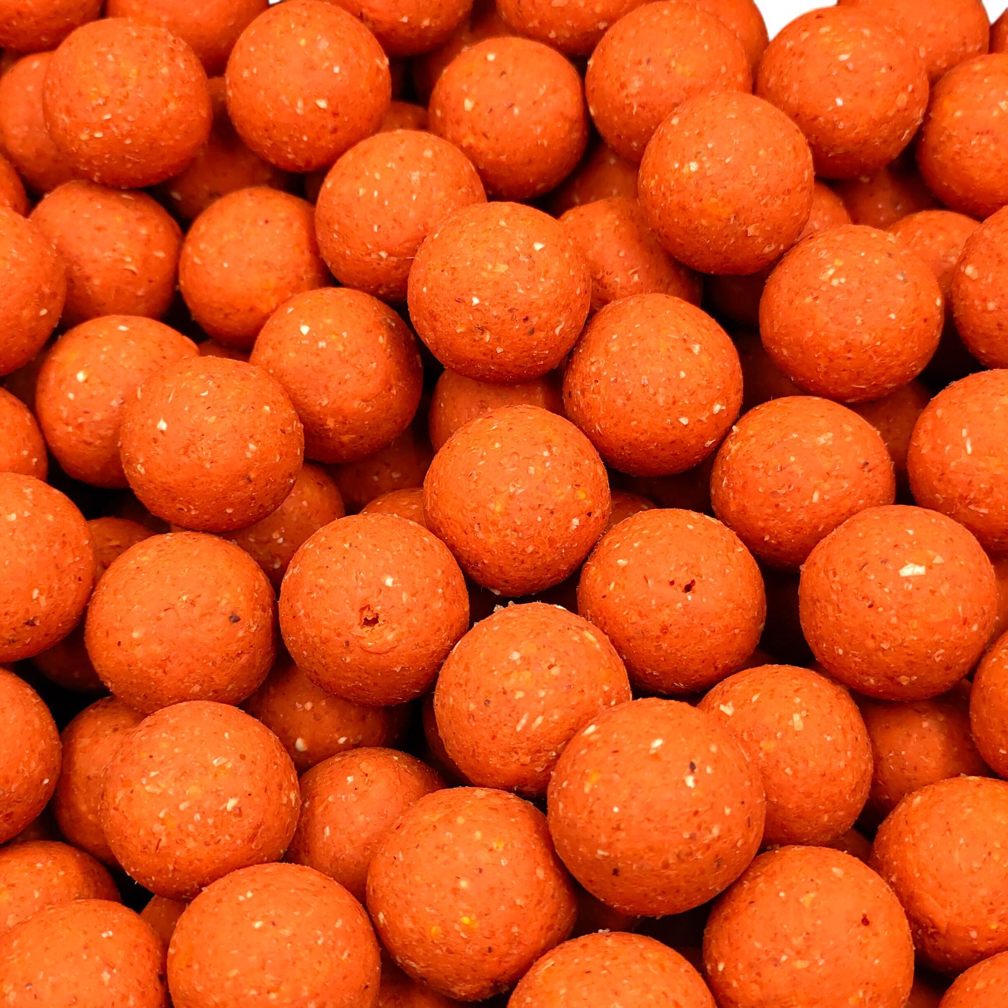 Kulki zanętowe 24mm Warmuz Baits Wiadro 3kg DONALD 3/3