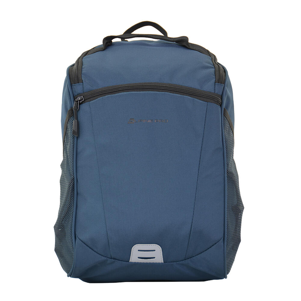 ALPINE PRO picture