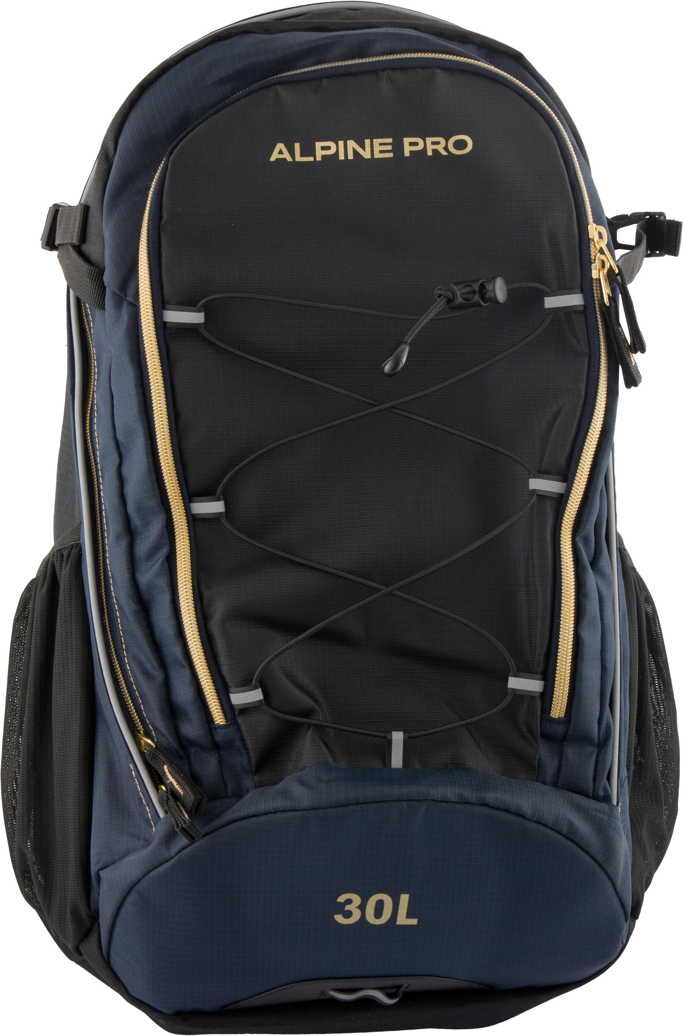 ALPINE PRO picture