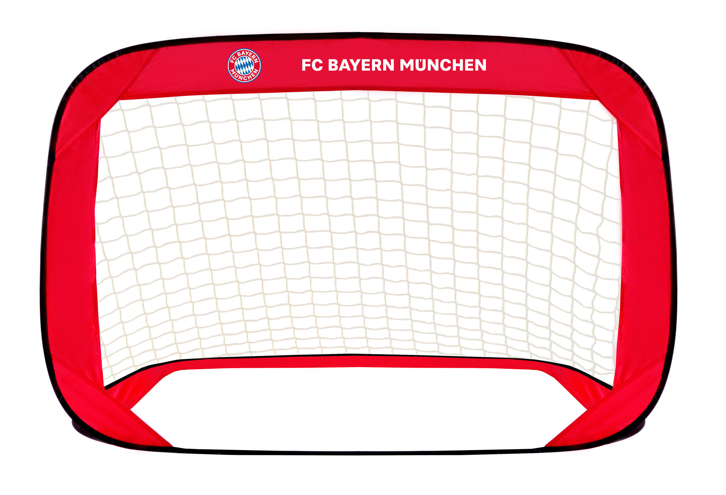FC BAYERN MÜNCHEN picture