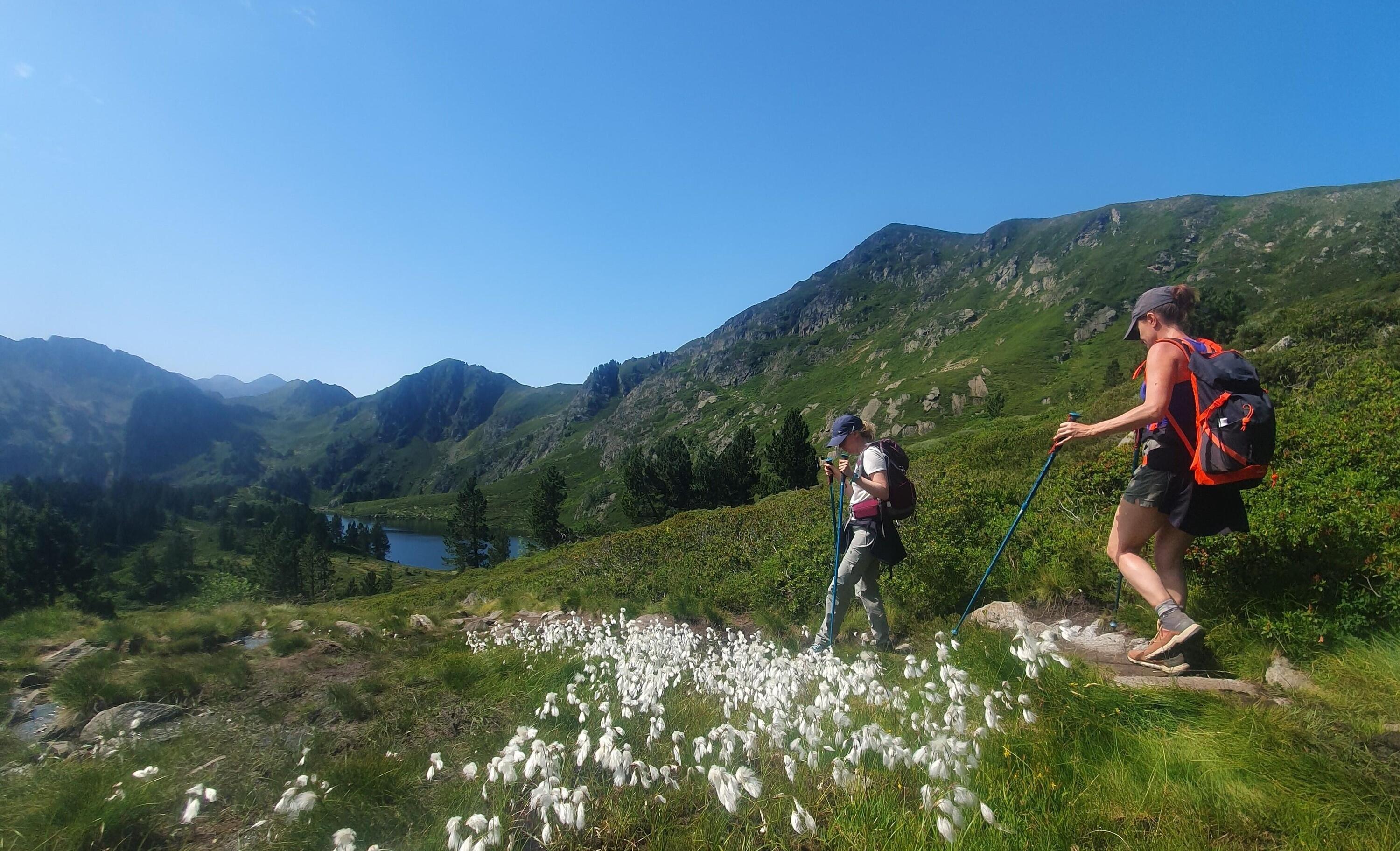 DECATHLON TRAVEL picture