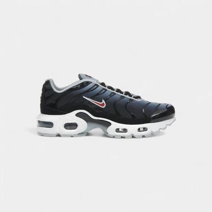Nike Air Max Plus Blue Tint Rugged Orange (GS)