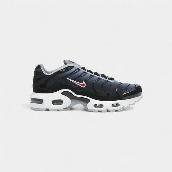 Nike Air Max Plus Blue Tint Rugged Orange (GS)