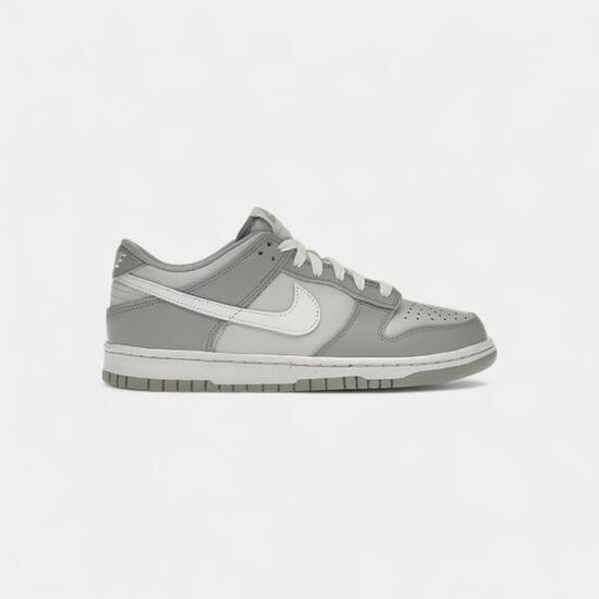 Nike Dunk Low Two-Toned Grey (GS)