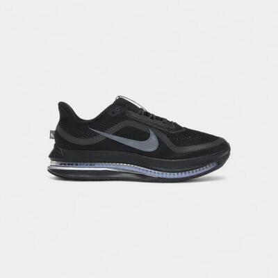 Nike air zoom pegasus premium black metallic silver