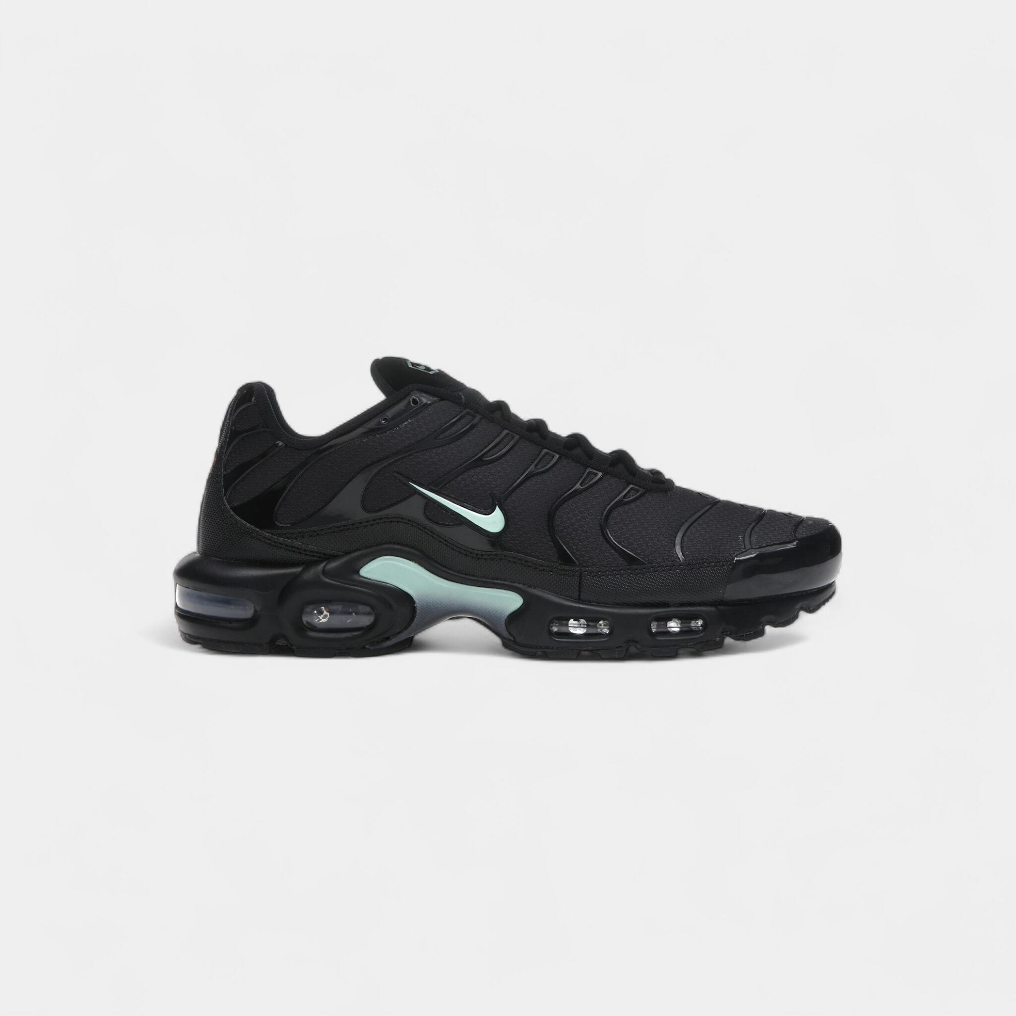 Nike Air Max Plus Black Mint Green 1/1