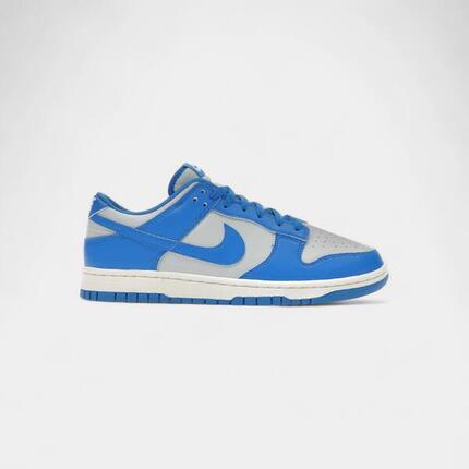 Nike Dunk Low Detroit Lions
