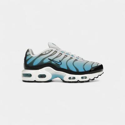 Nike air max plus ice (gs)