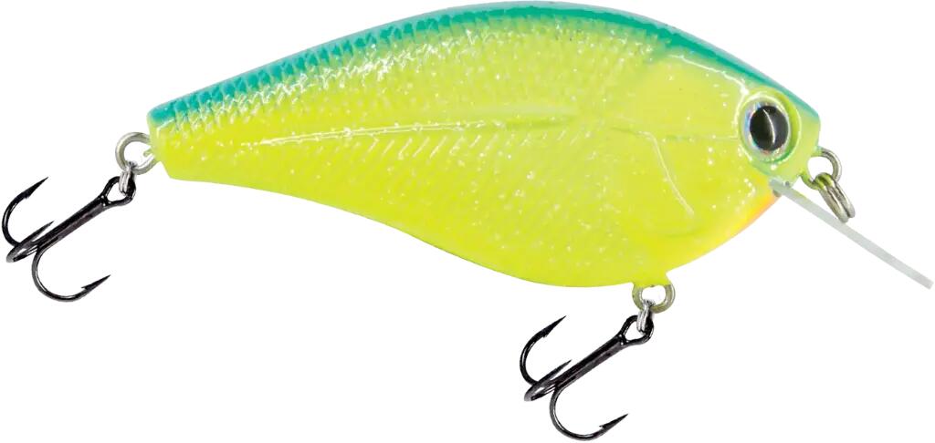 fluoreszierendes Hellgelb / lagunenblau