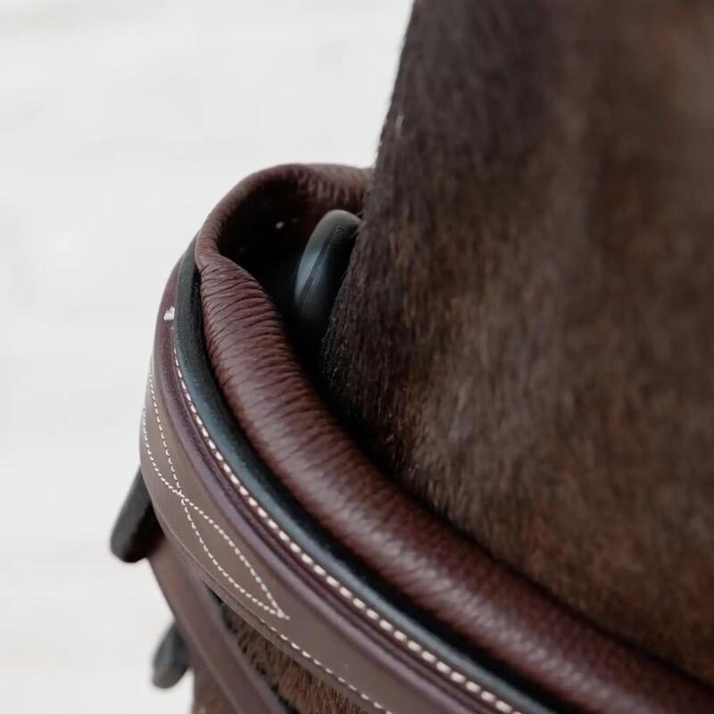 Zăbala Anatomica Dy'on FEI