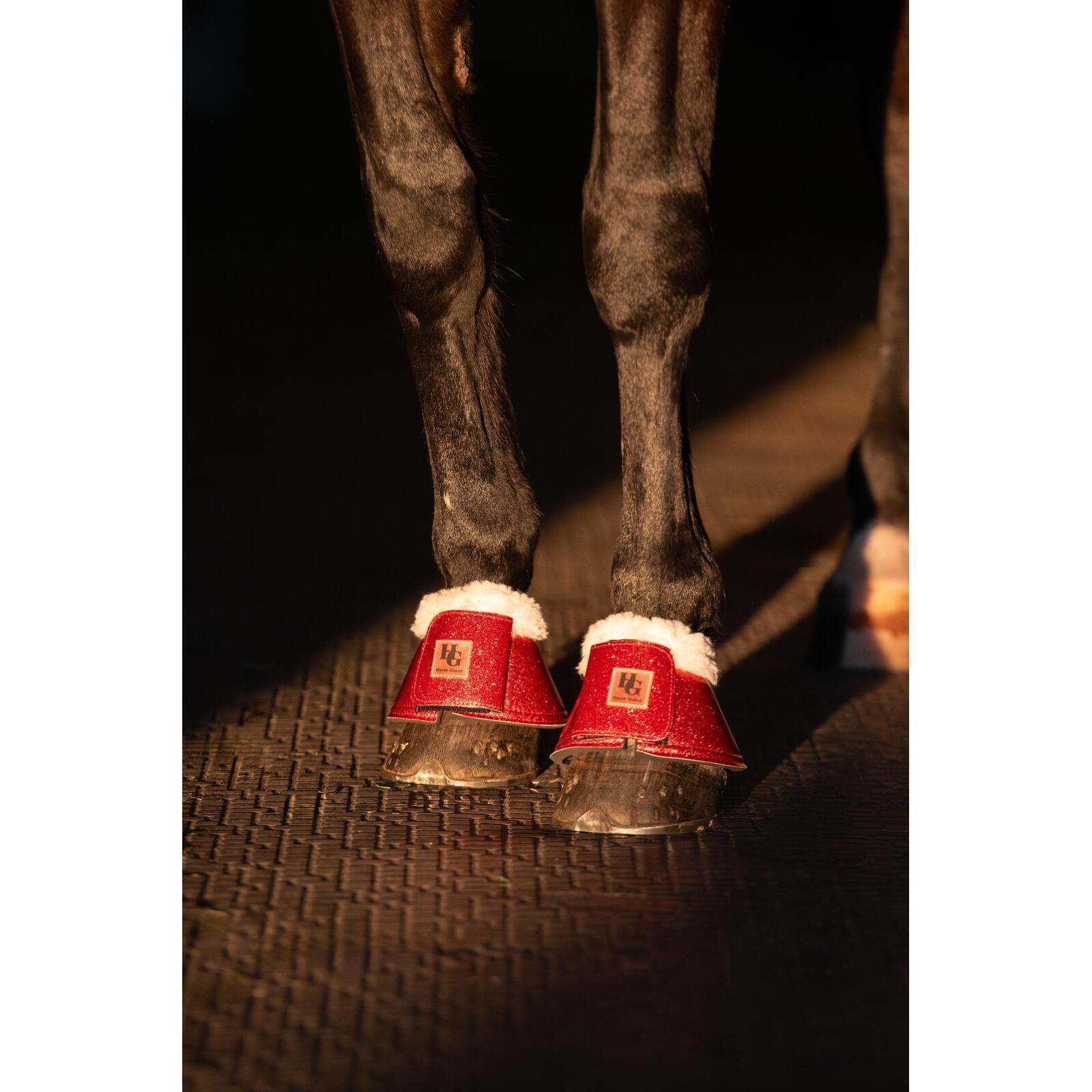 HORSE GUARD picture