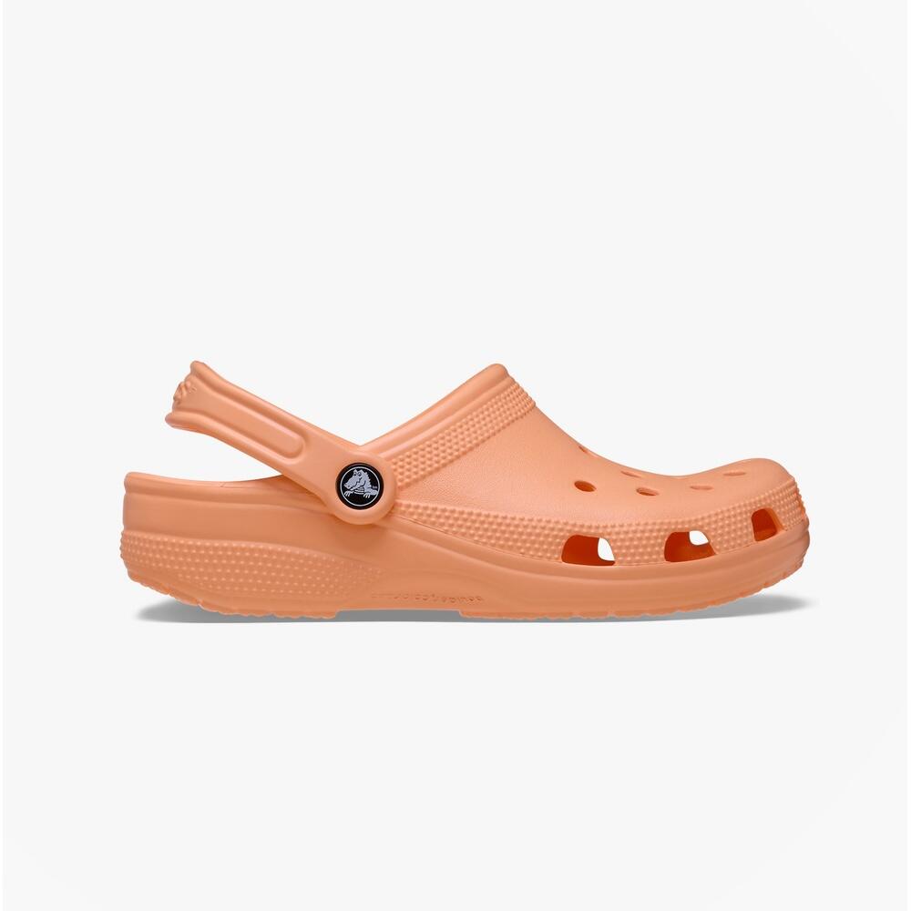 Adult Clogs Poolside Slip On 10001