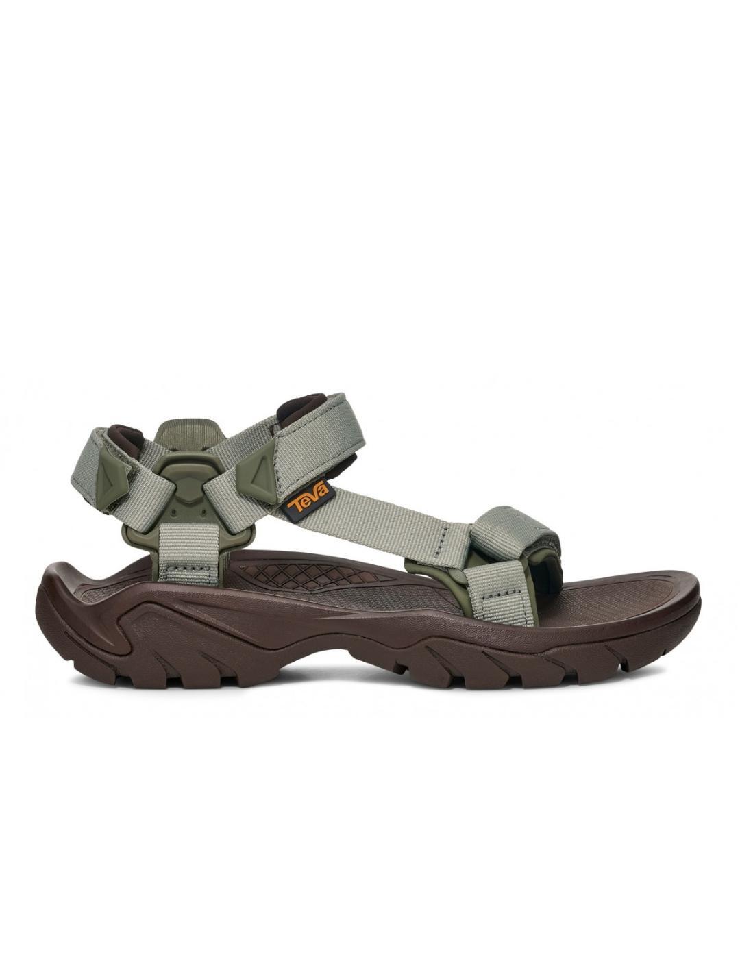 TEVA picture