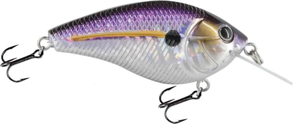 LIVINGSTON LURES picture