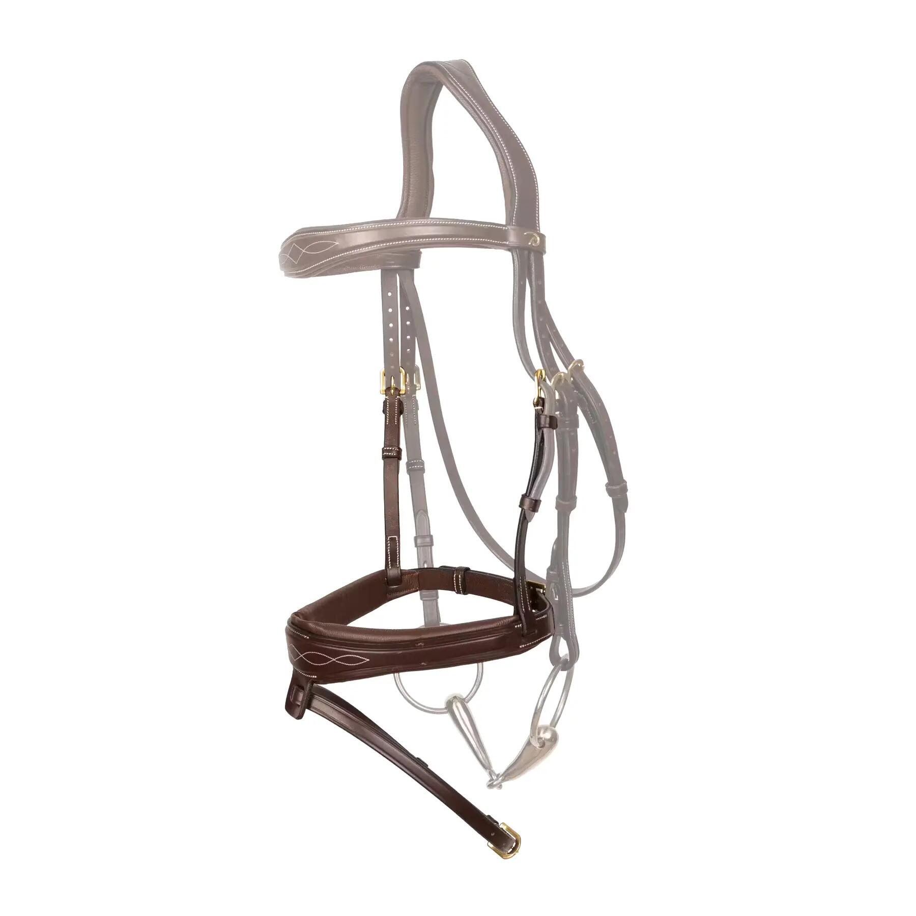 Zăbala Anatomica Dy\'on FEI