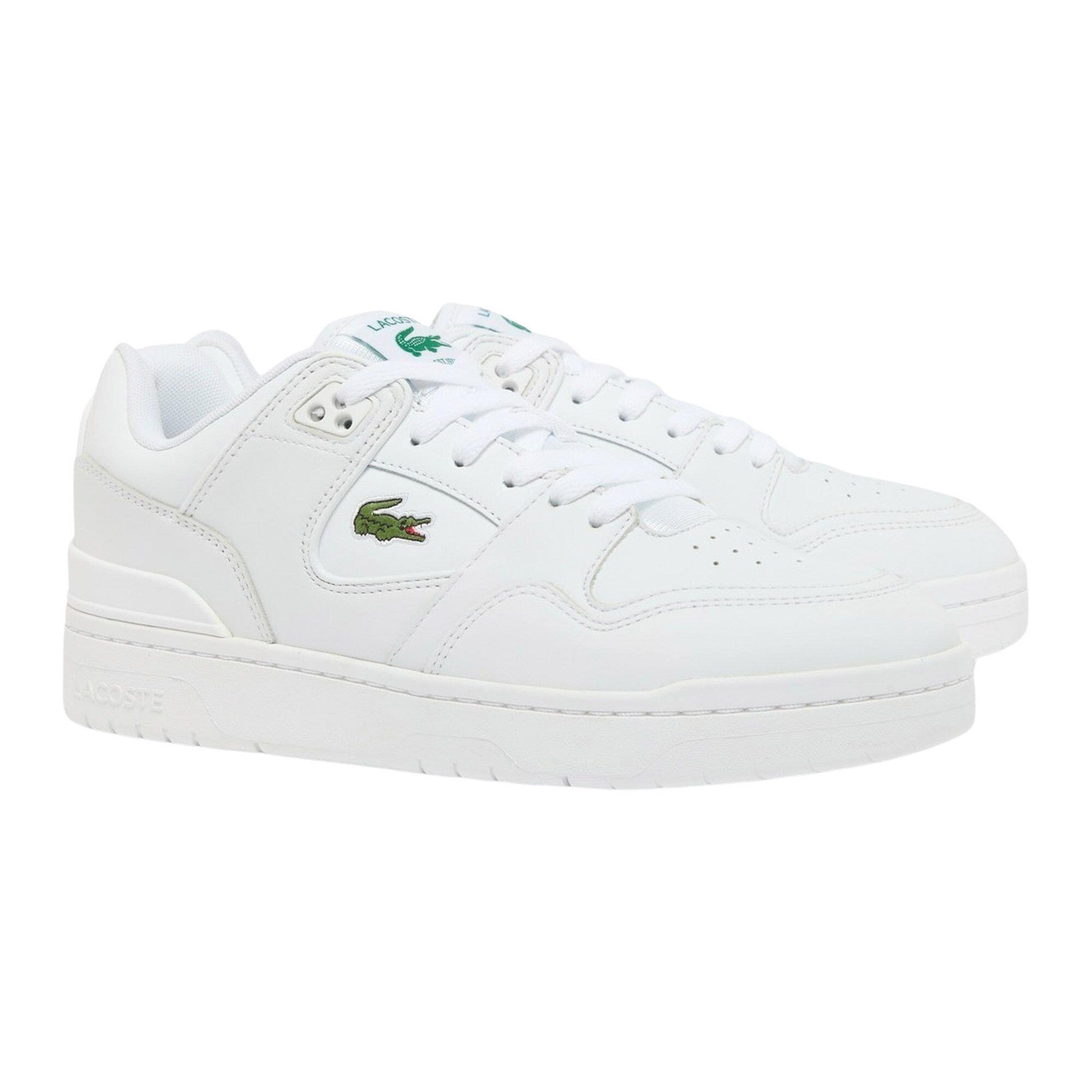 LACOSTE picture