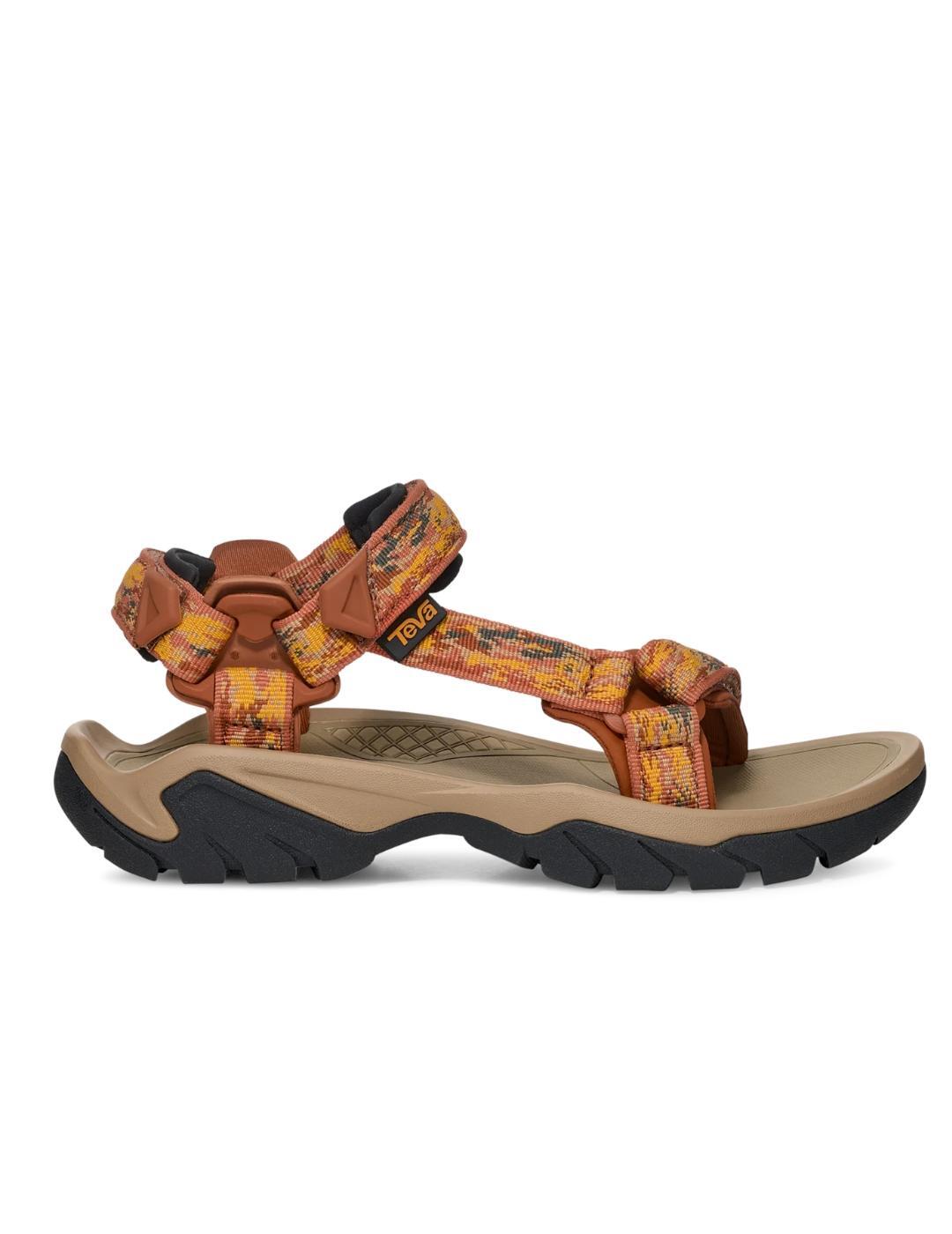 TEVA picture