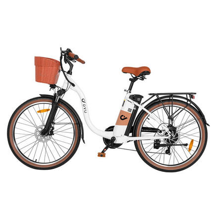 DYU C6PRO vélo électrique adulte batterie 36V 15,6 Ah 26 pouces ville
